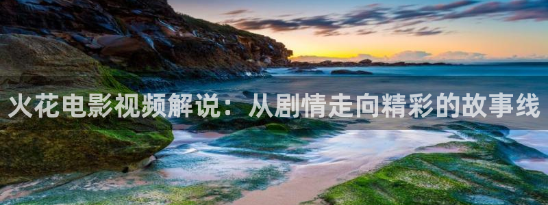 新视觉网络科技有限公司