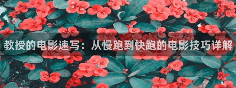 河南新视觉网络科技有限公司