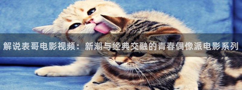 新视觉伦理yy4080