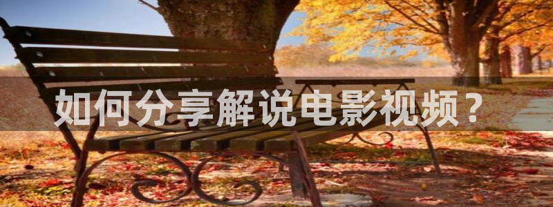 4080新视觉电影理论电视剧在线观看
