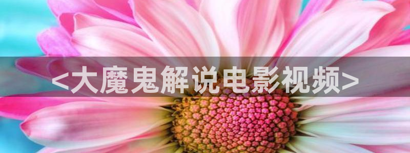 新视觉网页版