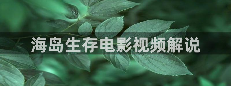 新视觉影视下载