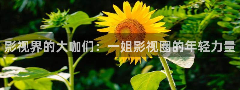 6080新视觉最新版