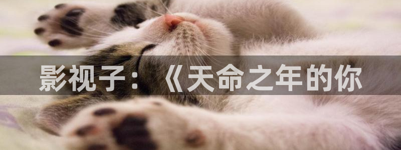 新视觉影院手机版