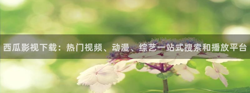 6080新视觉电影天堂
