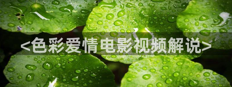 新视觉4080电视剧免费观看